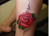 IMGP9386.JPG